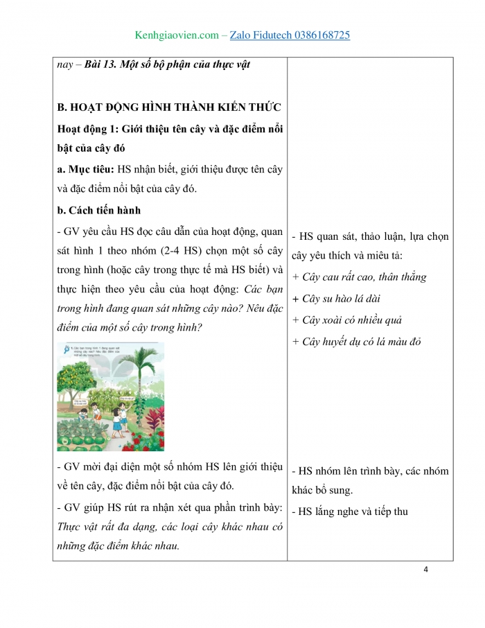 Giáo án và PPT Tự nhiên và Xã hội 3 kết nối Bài 13: Một số bộ phận của thực vật