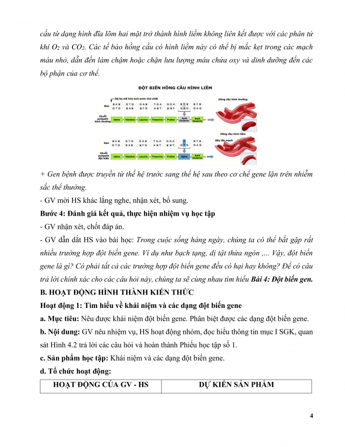 Giáo án và PPT Sinh học 12 cánh diều bài 4: Đột biến gene