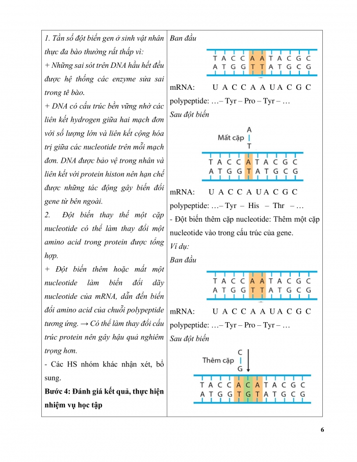 Giáo án và PPT Sinh học 12 cánh diều bài 4: Đột biến gene