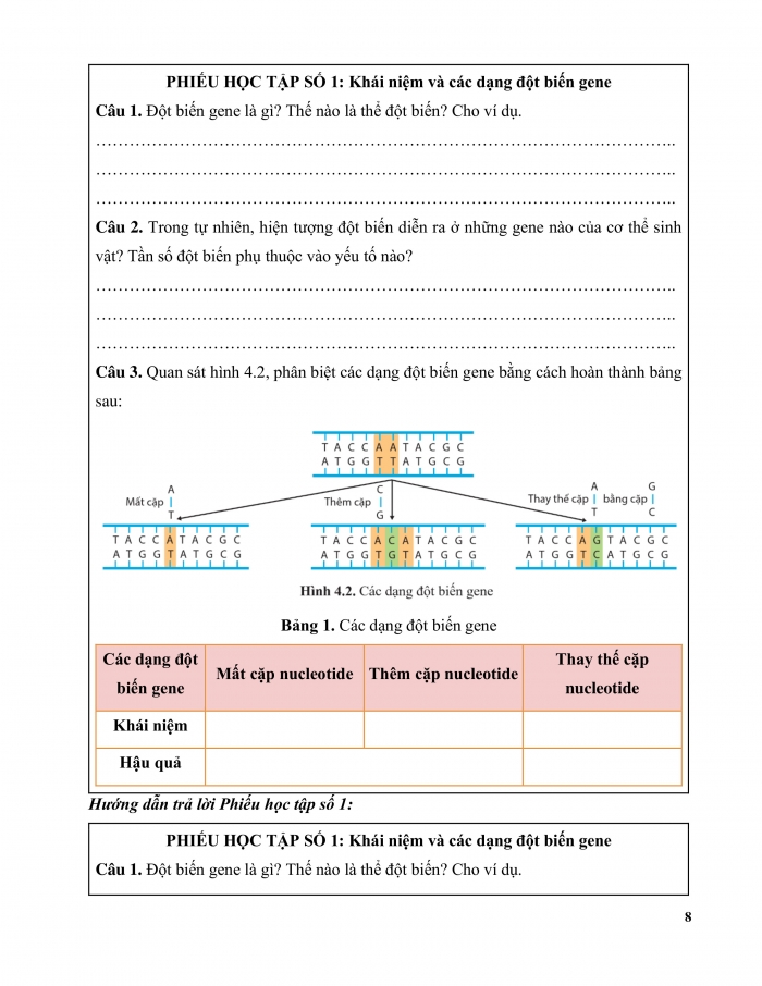 Giáo án và PPT Sinh học 12 cánh diều bài 4: Đột biến gene