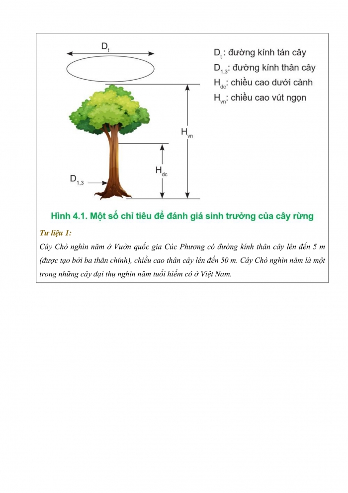 Giáo án và PPT công nghệ 12 lâm nghiệp thủy sản Cánh diều bài 4: Sinh trưởng và phát triển của cây rừng