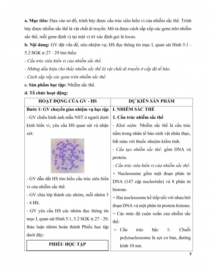 Giáo án và PPT Sinh học 12 cánh diều bài 5: Nhiễm sắc thể và cơ chế di truyền nhiễm sắc thể