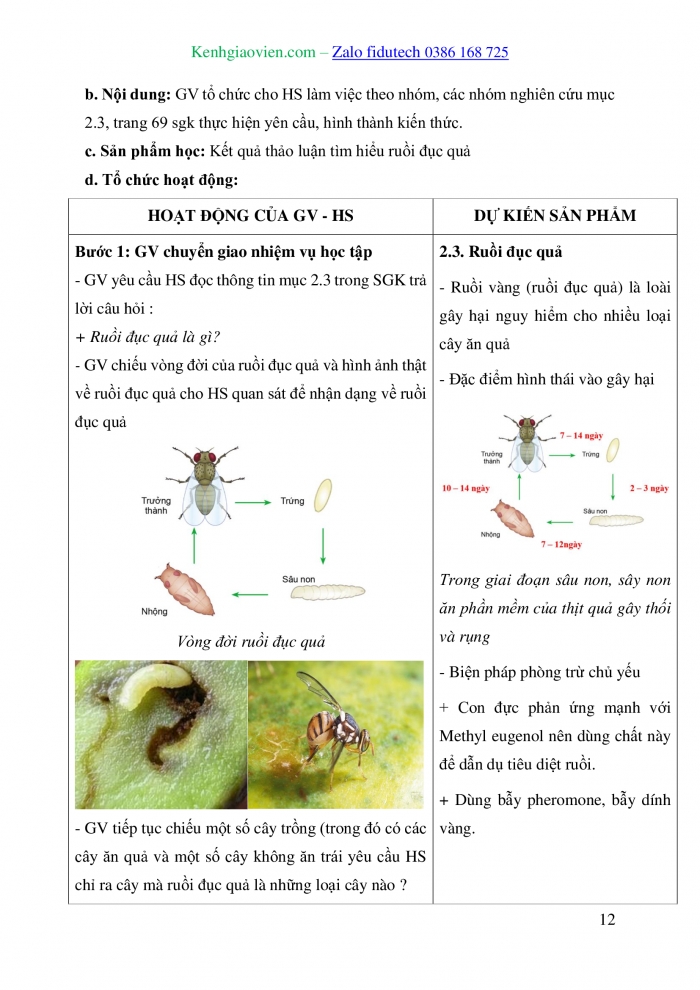 Giáo án và PPT Công nghệ trồng trọt 10 cánh diều Bài 13: Sâu hại cây trồng