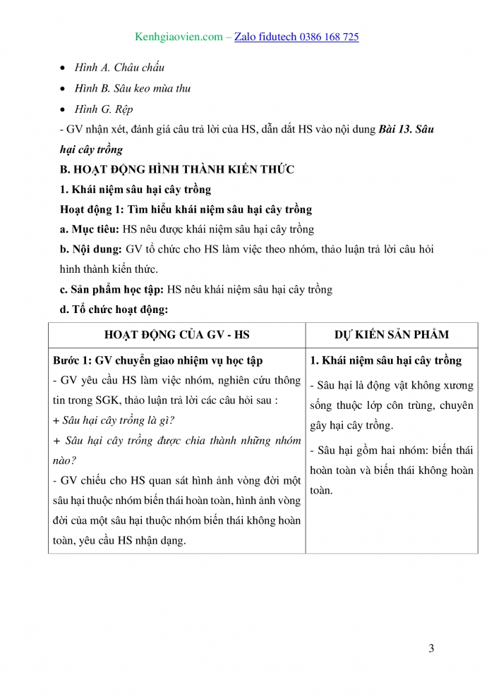 Giáo án và PPT Công nghệ trồng trọt 10 cánh diều Bài 13: Sâu hại cây trồng