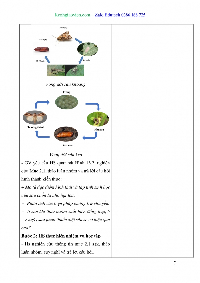 Giáo án và PPT Công nghệ trồng trọt 10 cánh diều Bài 13: Sâu hại cây trồng