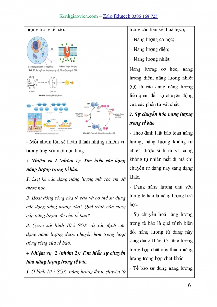 Giáo án và PPT Sinh học 10 cánh diều Bài 10: Sự chuyển hoá năng lượng và enzyme