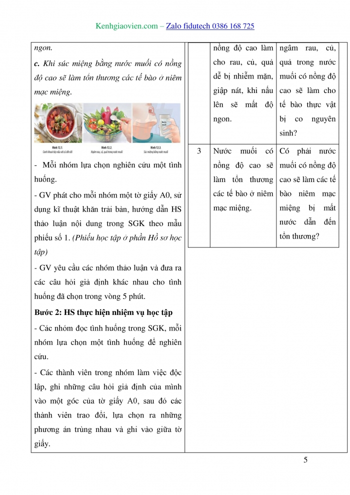 Giáo án và PPT Sinh học 10 chân trời Bài 12: Thực hành Sự vận chuyển các chất qua màng sinh chất