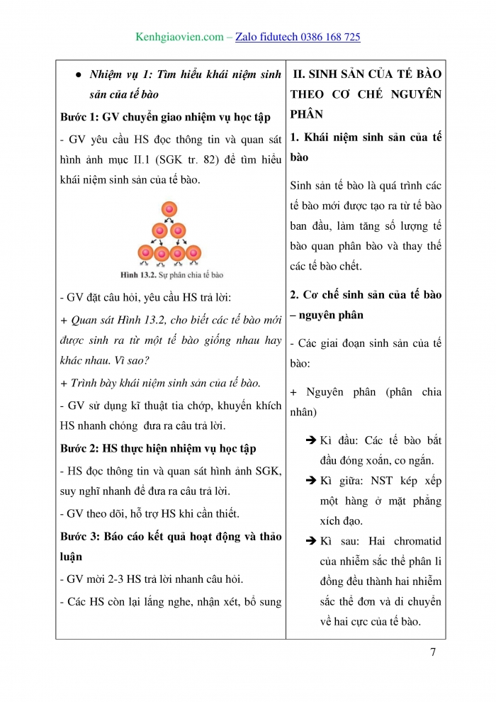 Giáo án và PPT Sinh học 10 cánh diều Bài 13: Chu kì tế bào và nguyên phân