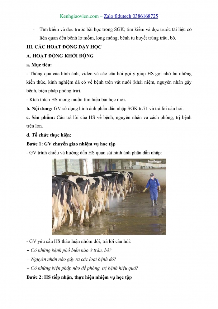 Giáo án và PPT Công nghệ chăn nuôi 11 kết nối Bài 14: Một số bệnh phổ biến ở trâu, bò và biện pháp phòng, trị