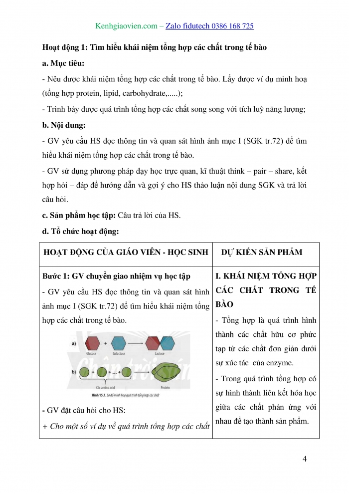 Giáo án và PPT Sinh học 10 chân trời Bài 15: Tổng hợp các chất và tích luỹ năng lượng