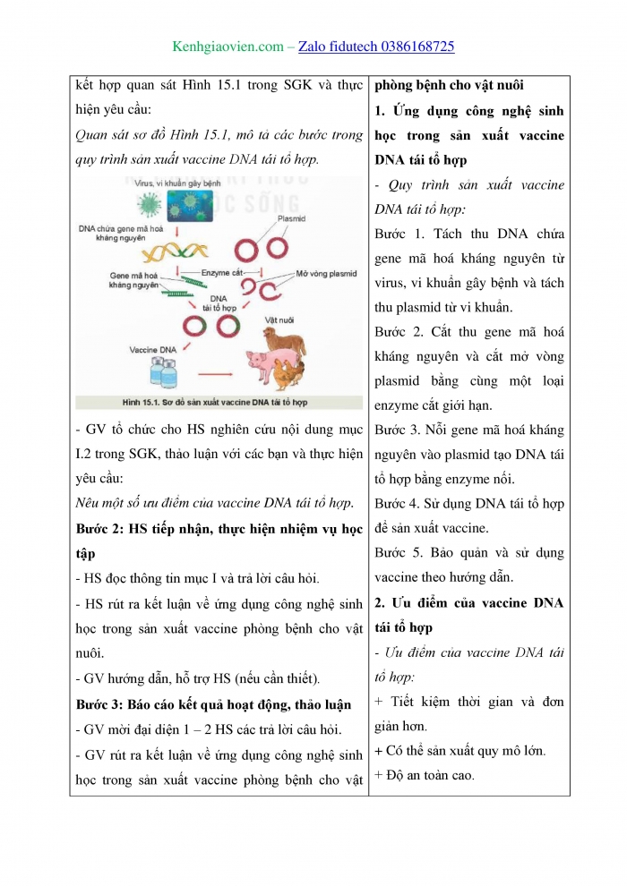 Giáo án và PPT Công nghệ chăn nuôi 11 kết nối Bài 15: Ứng dụng công nghệ sinh học trong phòng, trị bệnh cho vật nuôi