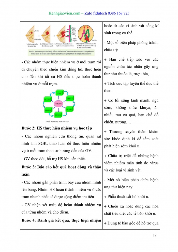 Giáo án và PPT Sinh học 10 kết nối Bài 16: Chu kì tế bào và nguyên phân