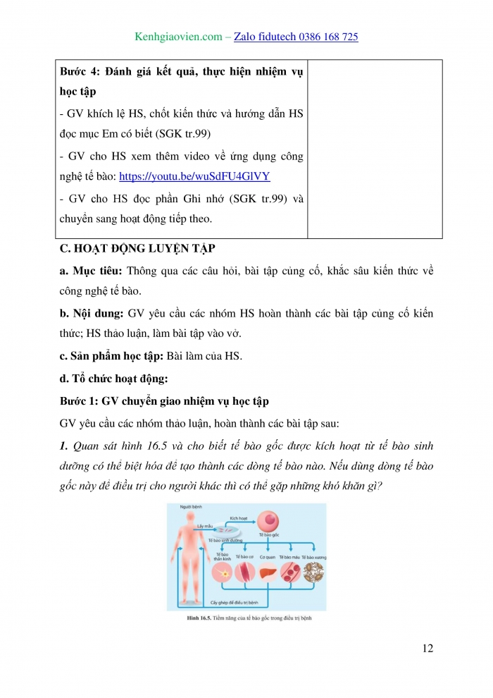 Giáo án và PPT Sinh học 10 cánh diều Bài 16: Công nghệ tế bào