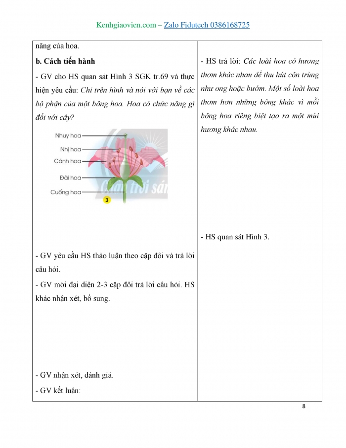 Giáo án và PPT Tự nhiên và Xã hội 3 chân trời Bài 16: Hoa và quả