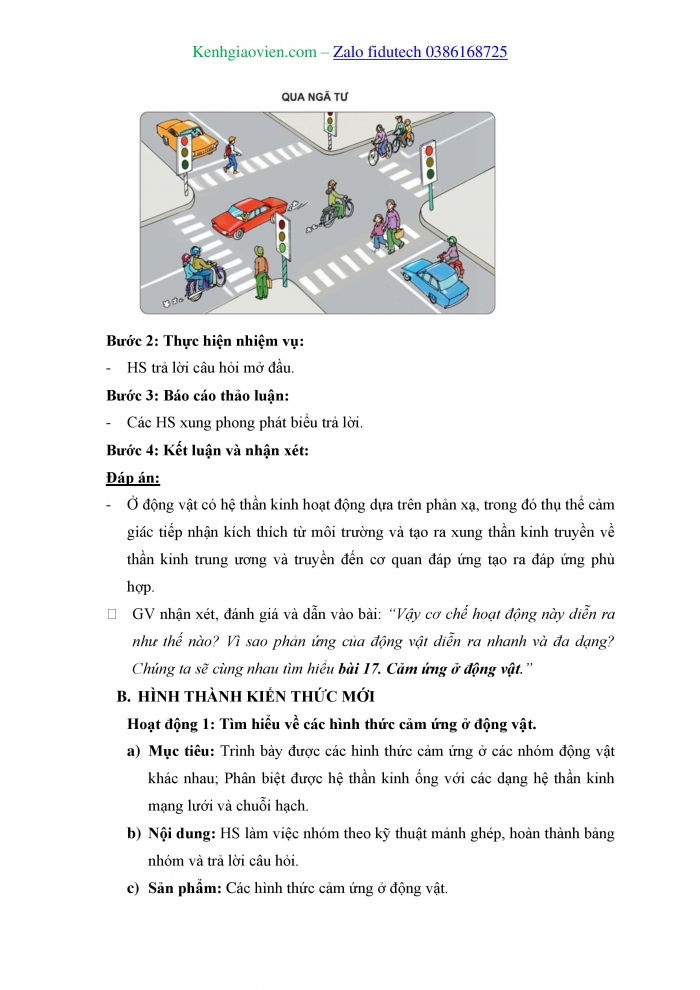 Giáo án và PPT Sinh học 11 kết nối Bài 17: Cảm ứng ở động vật
