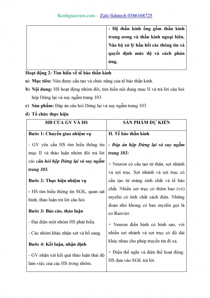 Giáo án và PPT Sinh học 11 kết nối Bài 17: Cảm ứng ở động vật