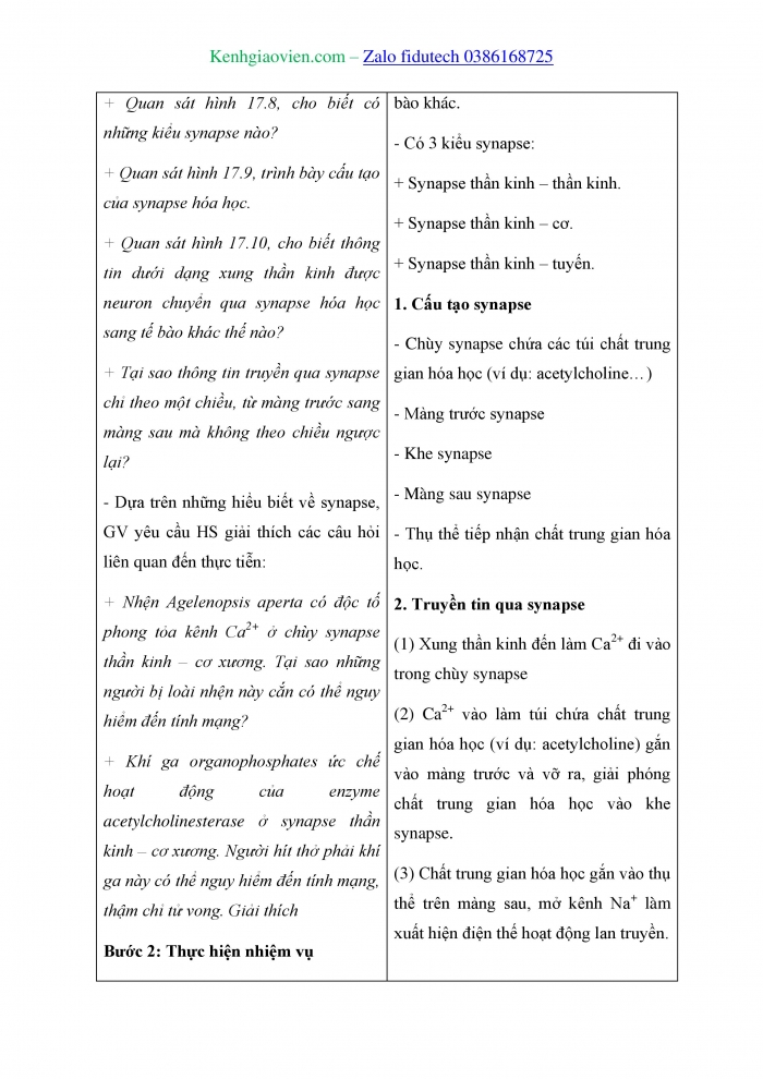 Giáo án và PPT Sinh học 11 kết nối Bài 17: Cảm ứng ở động vật