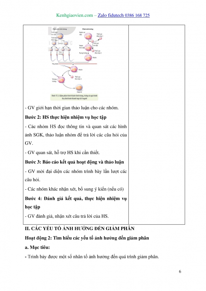 Giáo án và PPT Sinh học 10 kết nối Bài 17: Giảm phân