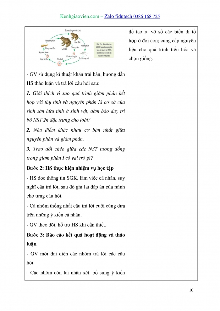 Giáo án và PPT Sinh học 10 kết nối Bài 17: Giảm phân