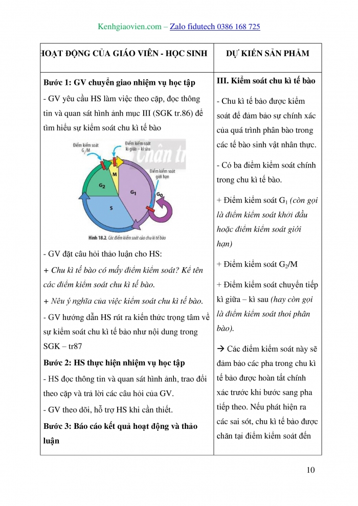 Giáo án và PPT Sinh học 10 chân trời Bài 18: Chu kì tế bào