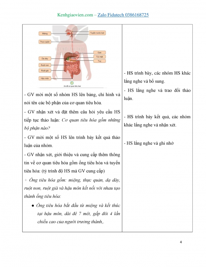 Giáo án và PPT Tự nhiên và Xã hội 3 kết nối Bài 18: Cơ quan tiêu hoá