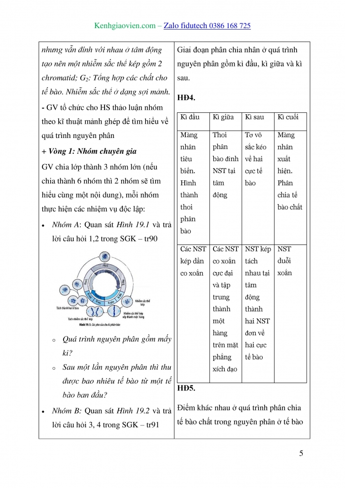 Giáo án và PPT Sinh học 10 chân trời Bài 19: Quá trình phân bào