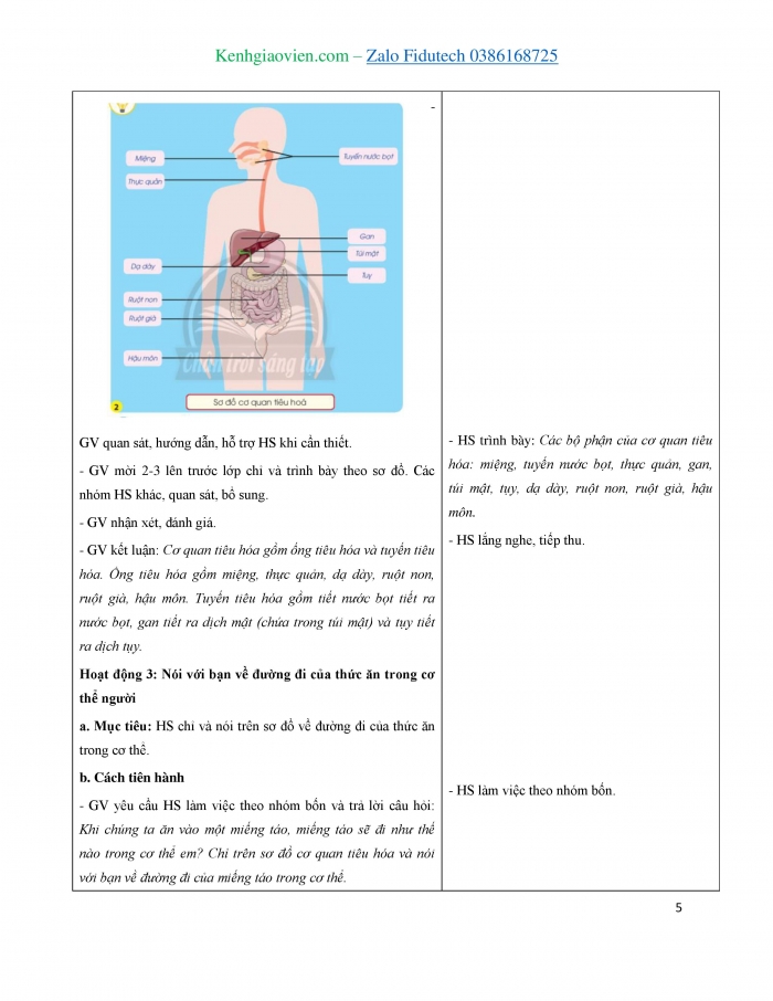 Giáo án và PPT Tự nhiên và Xã hội 3 chân trời Bài 19: Ôn tập chủ đề Thực vật và động vật