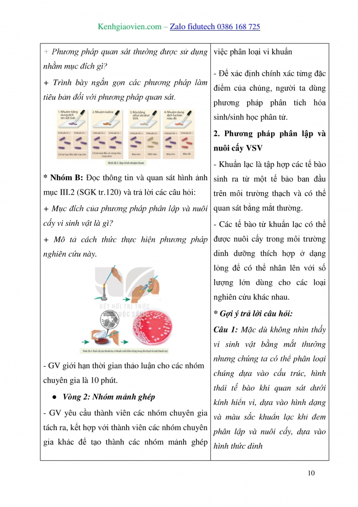 Giáo án và PPT Sinh học 10 kết nối Bài 20: Sự đa dạng và phương pháp nghiên cứu vi sinh vật