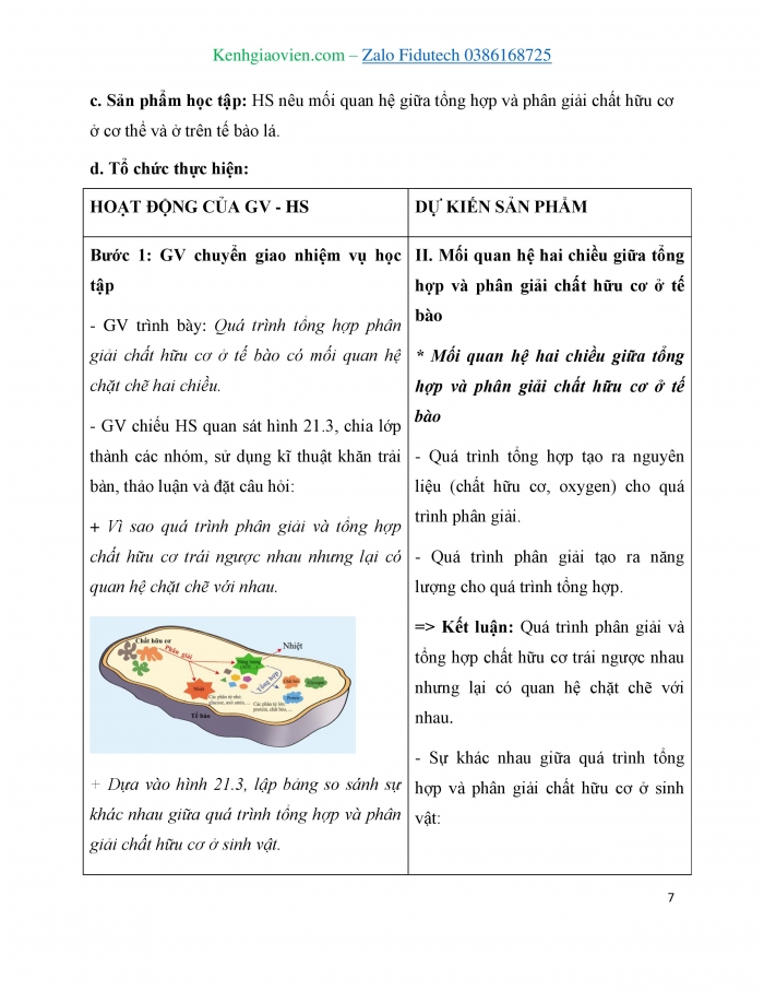 Giáo án và PPT KHTN 7 cánh diều Bài 21: Hô hấp tế bào