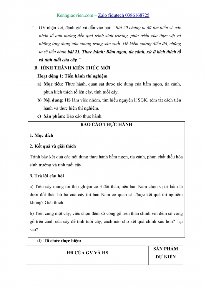 Giáo án và PPT Sinh học 11 kết nối Bài 21: Thực hành Bấm ngọn, tỉa cành; xử lí kích thích tố và tính tuổi cây