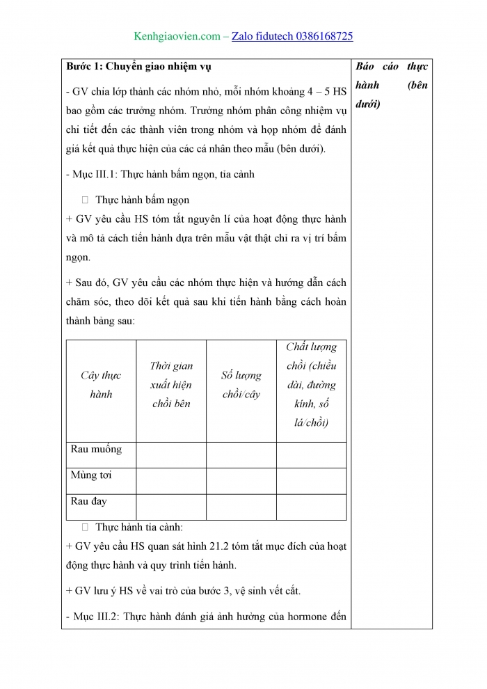 Giáo án và PPT Sinh học 11 kết nối Bài 21: Thực hành Bấm ngọn, tỉa cành; xử lí kích thích tố và tính tuổi cây