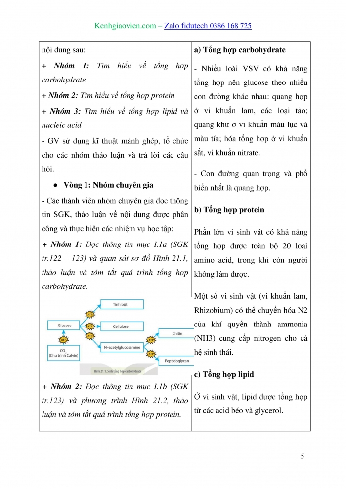 Giáo án và PPT Sinh học 10 kết nối Bài 21: Trao đổi chất, sinh trưởng và sinh sản ở vi sinh vật