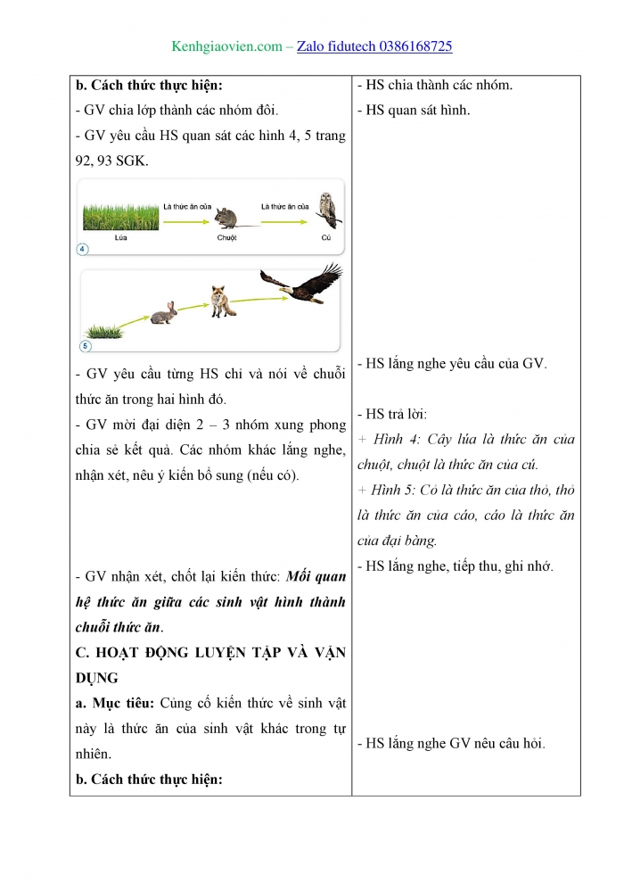 Giáo án và PPT Khoa học 4 cánh diều Bài 22: Chuỗi thức ăn