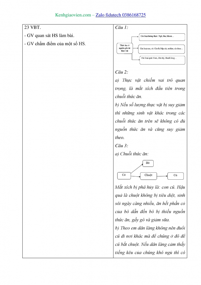 Giáo án và PPT Khoa học 4 cánh diều Bài 23: Vai trò của thực vật trong chuỗi thức ăn