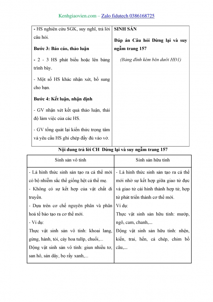 Giáo án và PPT Sinh học 11 kết nối Bài 24: Khái quát về sinh sản ở sinh vật