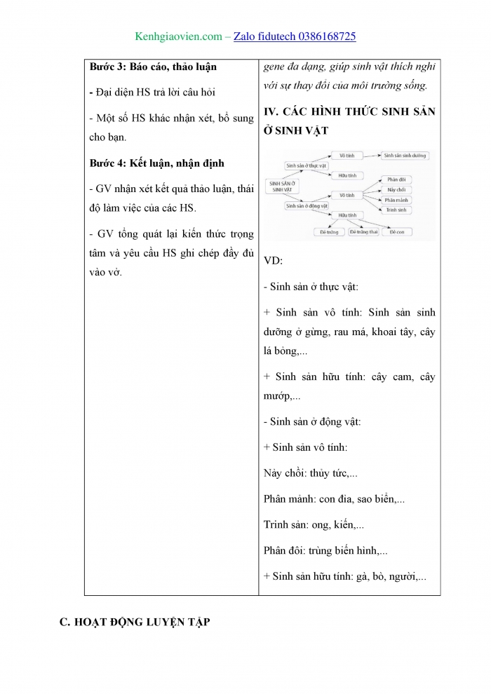 Giáo án và PPT Sinh học 11 kết nối Bài 24: Khái quát về sinh sản ở sinh vật