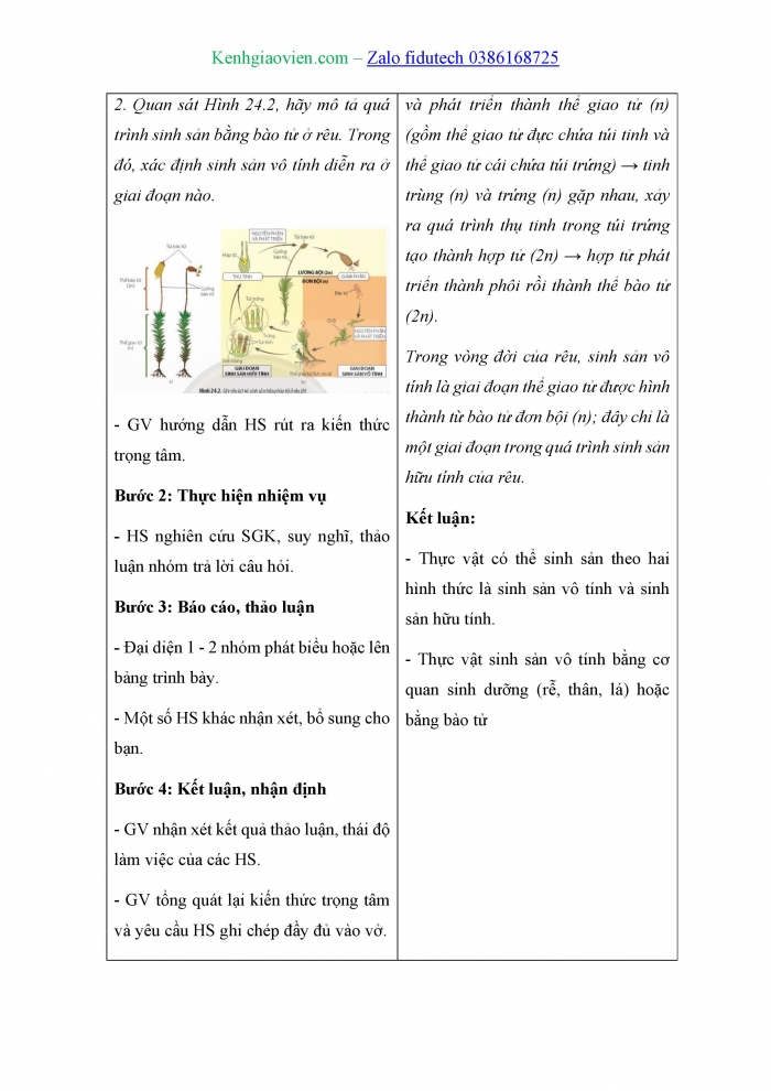 Giáo án và PPT Sinh học 11 chân trời Bài 24: Sinh sản ở thực vật