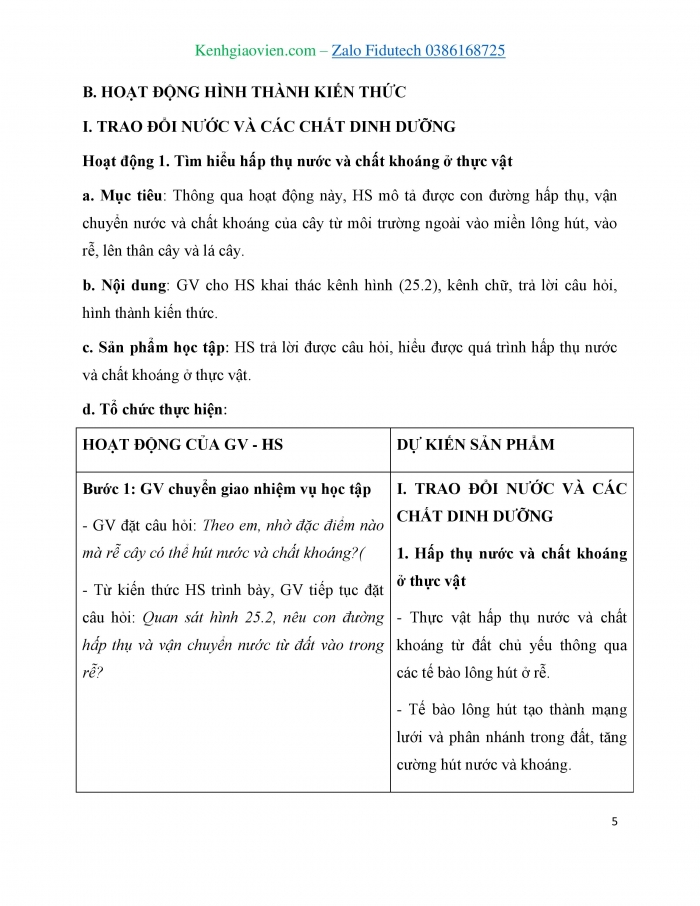 Giáo án và PPT KHTN 7 cánh diều Bài 25: Trao đổi nước và các chất dinh dưỡng ở thực vật