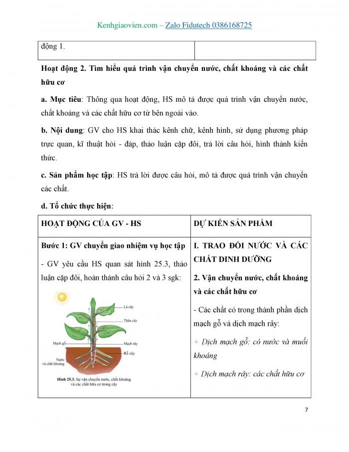 Giáo án và PPT KHTN 7 cánh diều Bài 25: Trao đổi nước và các chất dinh dưỡng ở thực vật