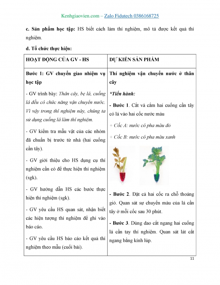 Giáo án và PPT KHTN 7 cánh diều Bài 25: Trao đổi nước và các chất dinh dưỡng ở thực vật