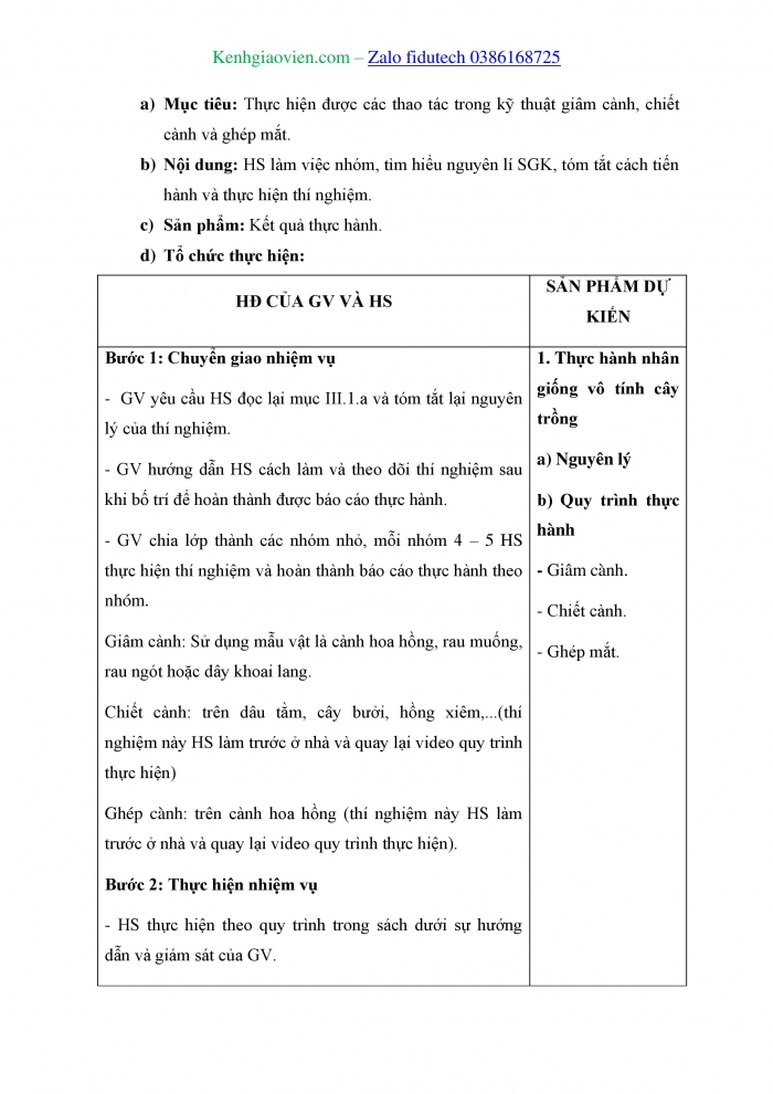 Giáo án và PPT Sinh học 11 kết nối Bài 26: Thực hành Nhân giống vô tính và thụ phấn cho cây