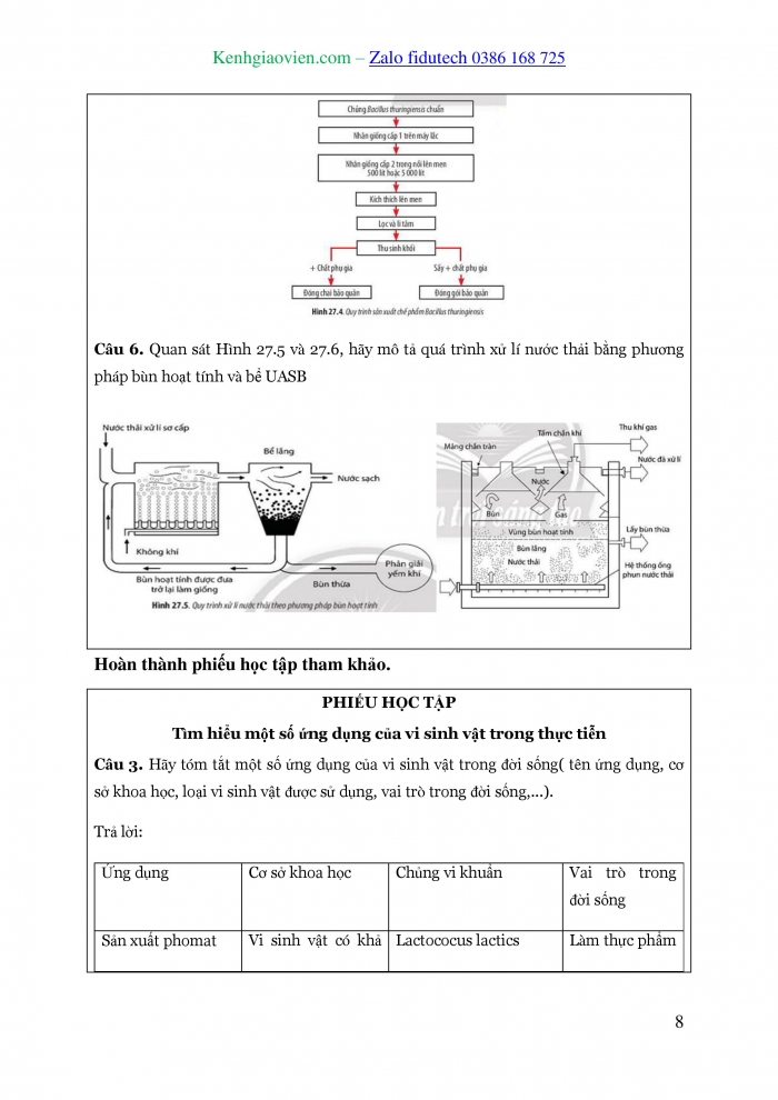 Giáo án và PPT Sinh học 10 chân trời Bài 27: Ứng dụng vi sinh vật trong thực tiễn