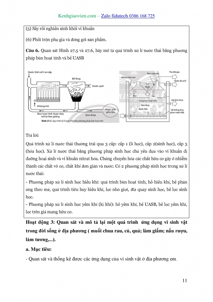 Giáo án và PPT Sinh học 10 chân trời Bài 27: Ứng dụng vi sinh vật trong thực tiễn