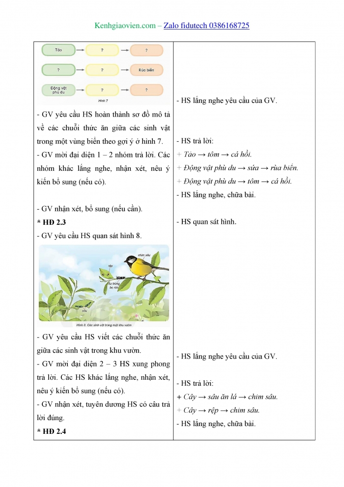 Giáo án và PPT Khoa học 4 kết nối Bài 29: Chuỗi thức ăn trong tự nhiên