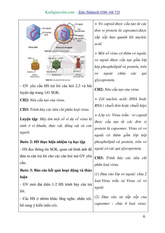 Giáo án và PPT Sinh học 10 chân trời Bài 29: Virus