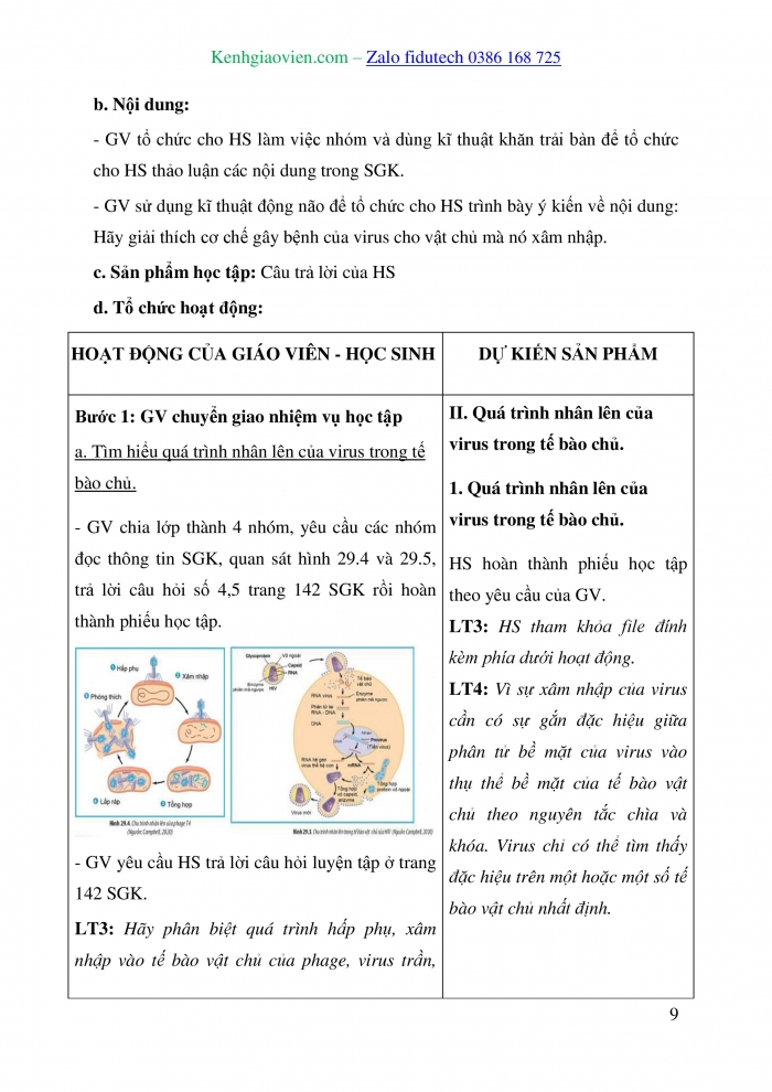 Giáo án và PPT Sinh học 10 chân trời Bài 29: Virus