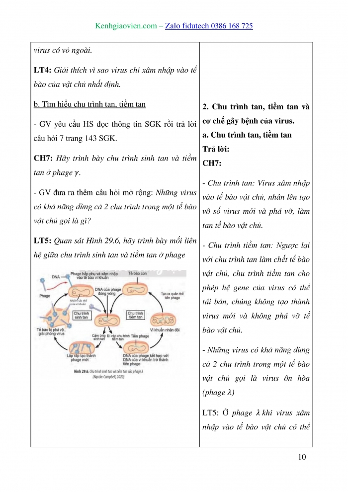 Giáo án và PPT Sinh học 10 chân trời Bài 29: Virus