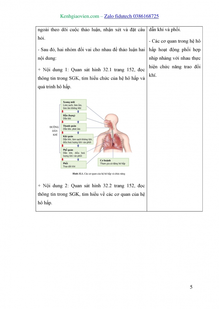 Giáo án và PPT KHTN 8 cánh diều Bài 32: Hệ hô hấp ở người