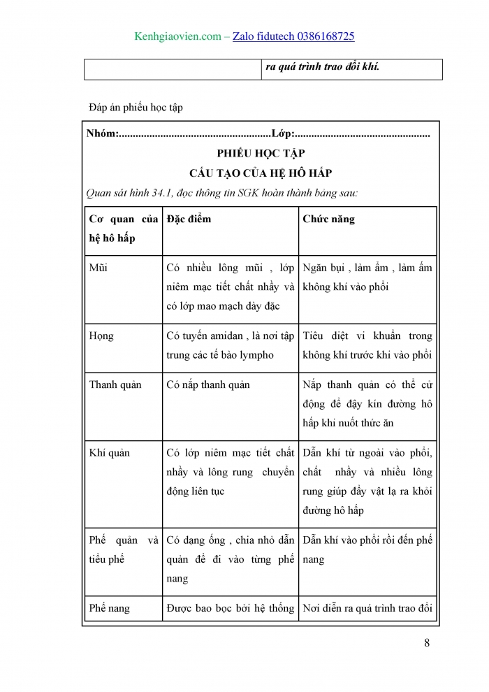 Giáo án và PPT KHTN 8 kết nối Bài 34: Hệ hô hấp ở người