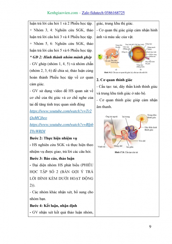 Giáo án và PPT KHTN 8 cánh diều Bài 34: Hệ thần kinh và các giác quan ở người